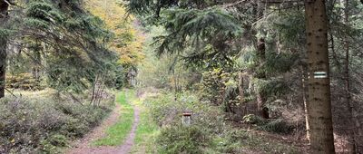 Pod Kopińcem ↔ Przełęcz pod Czarnochem