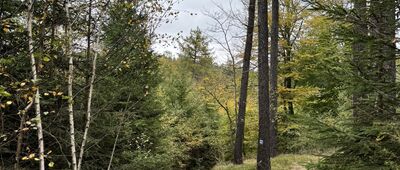 Rozejście szlaków niebieski / zielony ↔ Pod Kopińcem