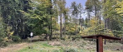 Rozejście szlaków niebieski / zielony