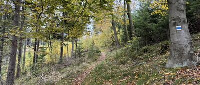 Rozejście szlaków niebieski / zielony ↔ Rozejście szlaków niebieski / zielony