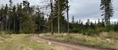 Rozejście szlaków niebieski / zielony