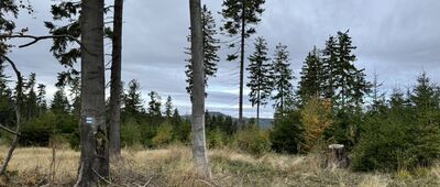 Rozejście szlaków niebieski / zielony