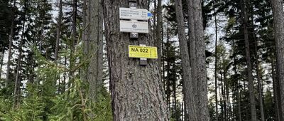 Pod Słodną ↔ Rozejście szlaków niebieski / zielony