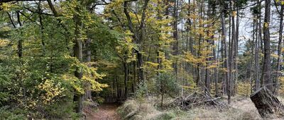 Rozejście szlaków niebieski / zielony ↔ Rozejście szlaków niebieski / zielony