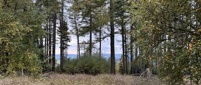 Rozejście szlaków niebieski / zielony ↔ Pod Kopińcem