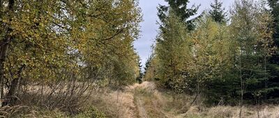 Przełęcz pod Czarnochem ↔ Czarnoch