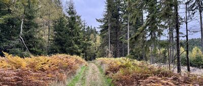 Czarnoch ↔ Pod Leszczyńcem