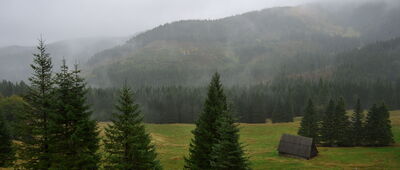 Hotel Górski PTTK Kalatówki [Polana Kalatówki]