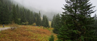 Schronisko PTTK na Hali Kondratowej [Hala Kondratowa]