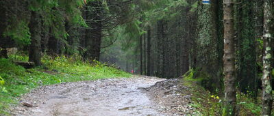 Polana Kalatówki ↔ Schronisko PTTK na Hali Kondratowej