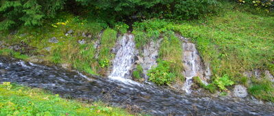 Murowanica ↔ Kuźnicka Polana [Potok Bystra]