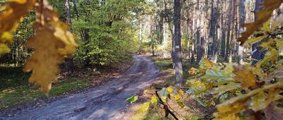 Chodel ↔ Ruda Godowska