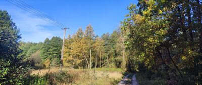 Chodel ↔ Ruda Godowska