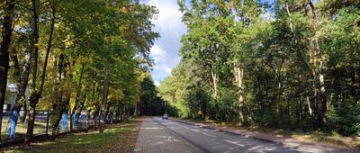 Dębiny ↔ Poniatowa