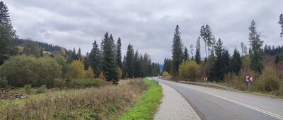 Witów, Magurski Potok ↔ Witów, Kojsówka