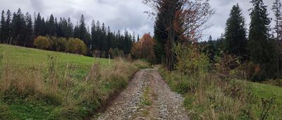 Witów, skrzyżowanie ↔ Butorów