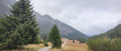Schronisko PTTK na Hali Kondratowej ↔ Przełęcz pod Kopą Kondracką