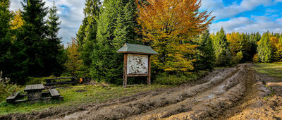 Myconiówka ↔ Tymbark, Uchacz [Polana Myconiówka]