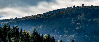 Łopień ↔ Przełęcz E. Rydza-Śmigłego [Mogielica z Przełęczy E. Rydza-Śmigłego]