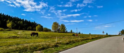 Przełęcz E. Rydza-Śmigłego [Przełęcz E. Rydza-Śmigłego]