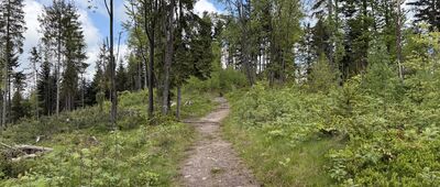 Skrzyżowanie przy Przełęczy Szarcula ↔ Pod Szarculą