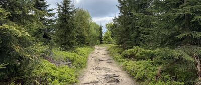 Stecówka, droga ↔ Skrzyżowanie Do Buka