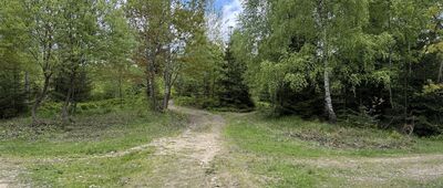 Skrzyżowanie Do Buka