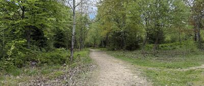 Skrzyżowanie Do Buka