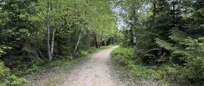 Skrzyżowanie Do Buka