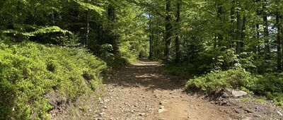 Pod Karolówką, odejście szlaku zielonego