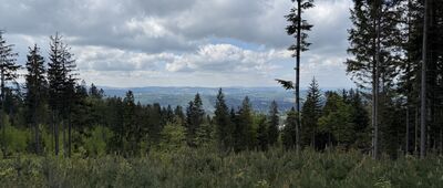 Skrzyżowanie przy Przełęczy Szarcula ↔ Pod Szarculą