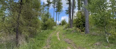 Terchová ↔ Mravečník