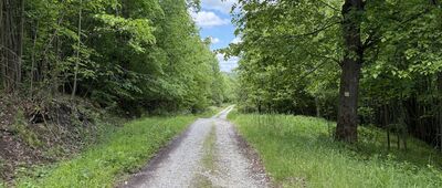 Sedlo Lutiška, rázc. ↔ Pod Mravečníkom