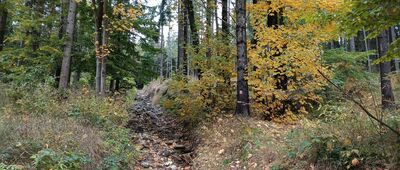 Heřmanovice, hřeben, rozc.