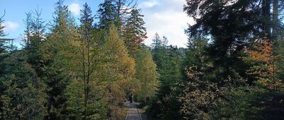 Sokolica ↔ Przełęcz Krowiarki