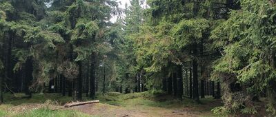 Příčný vrch ↔ Hornické skály