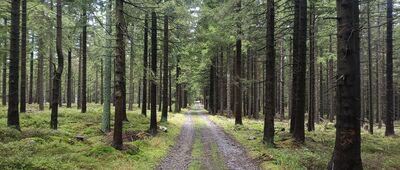 Hřeben ↔ Příčný vrch