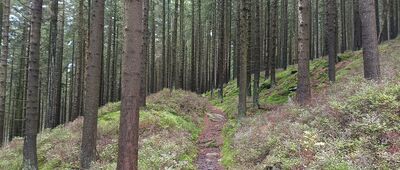 Starohoří, Kunstschacht, rozc. ↔ Hřeben