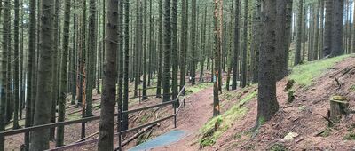 Starohoří, Kunstschacht, rozc.