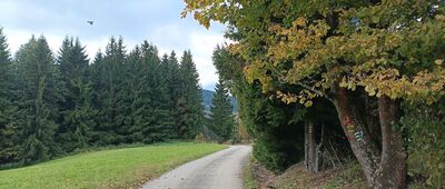 Nad Horním Údolím