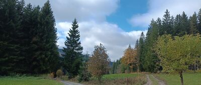 Nad Horním Údolím, rozc.