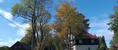 Rejvíz ↔ Rejvíz, hotel Franz