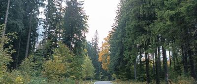 Rejvíz, rozc. ↔ Rejvíz, rozc.