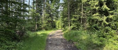 Pod Gaikami ↔ Gaiki