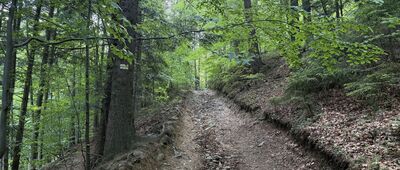 Stracona Matka ↔ Meszna, ul. Brzozowa