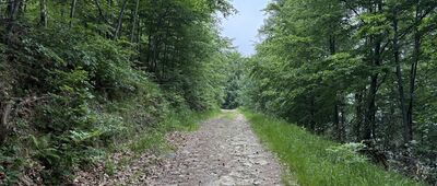 Chata na Groniu ↔ Skrzyżowanie szlaków żółty / czarny