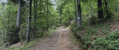 Skrzyżowanie szlaków żółty - czarny ↔ Skrzyżowanie szlaków żółty / czarny