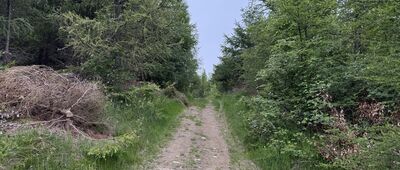 Ruiny schroniska Magura-Kąpielisko ↔ Skrzyżowanie szlaków żółty - czarny