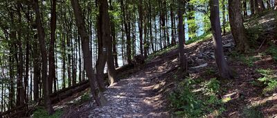 Velký Javorník ↔ Nad Horečkami, rozc.