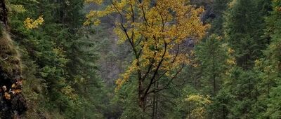 Dolina Białego ↔ Dolina Białego (górne piętro)